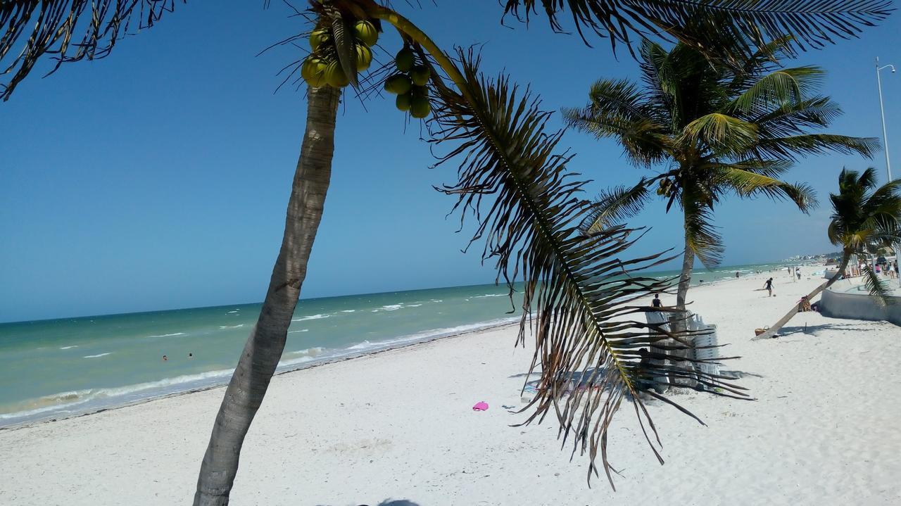 Mayab Suite Progreso  Exterior foto